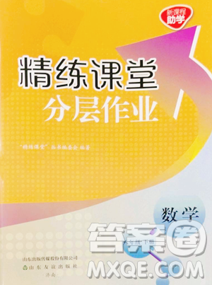 山东友谊出版社2023精练课堂分层作业八年级下册数学北师大版参考答案