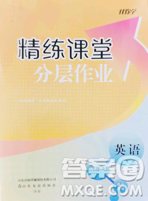 山东友谊出版社2023精练课堂分层作业八年级下册英语人教版临沂专版参考答案