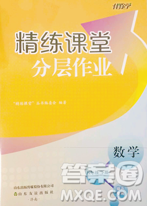 山东友谊出版社2023精练课堂分层作业八年级下册数学人教版临沂专版参考答案