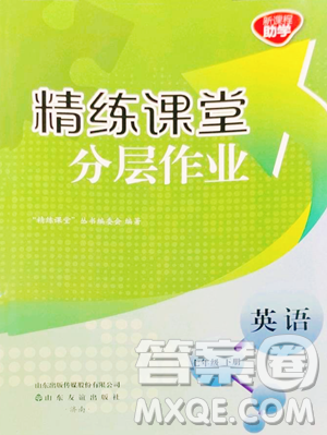 山东友谊出版社2023精练课堂分层作业七年级下册英语人教版参考答案