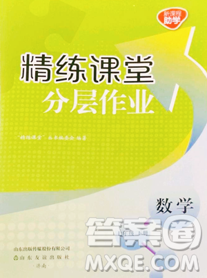 山东友谊出版社2023精练课堂分层作业七年级下册数学北师大版参考答案