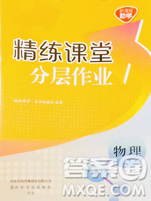 山东友谊出版社2023精练课堂分层作业八年级下册物理人教版参考答案