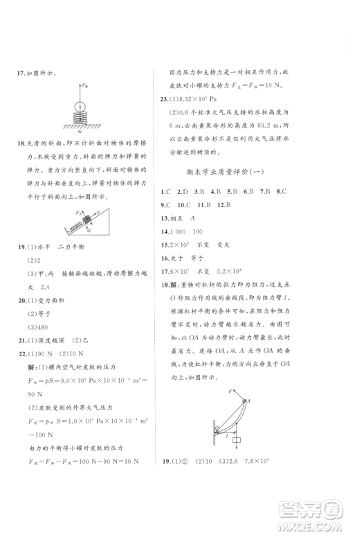 山东友谊出版社2023精练课堂分层作业八年级下册物理人教版参考答案