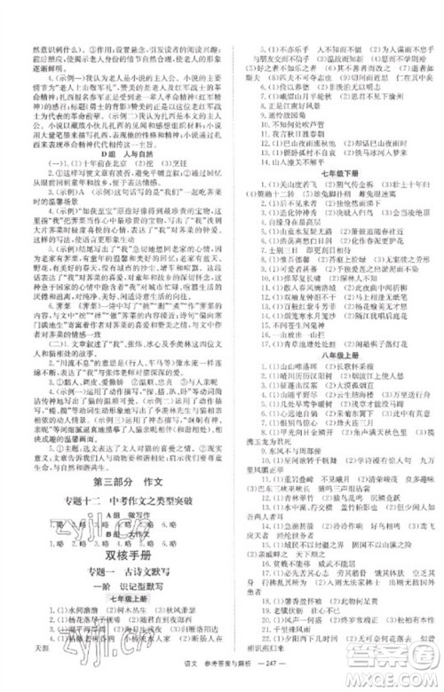 湖南师范大学出版社2023全程夺冠中考突破九年级语文通用版参考答案
