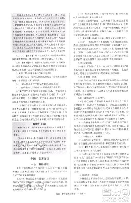 湖南师范大学出版社2023全程夺冠中考突破九年级语文通用版参考答案