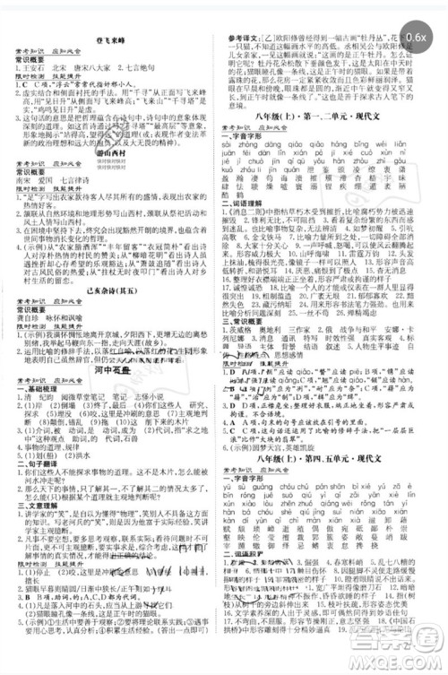 陕西人民教育出版社2023中考总复习导与练九年级语文人教版参考答案