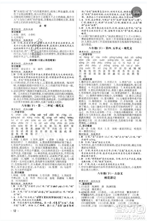 陕西人民教育出版社2023中考总复习导与练九年级语文人教版参考答案