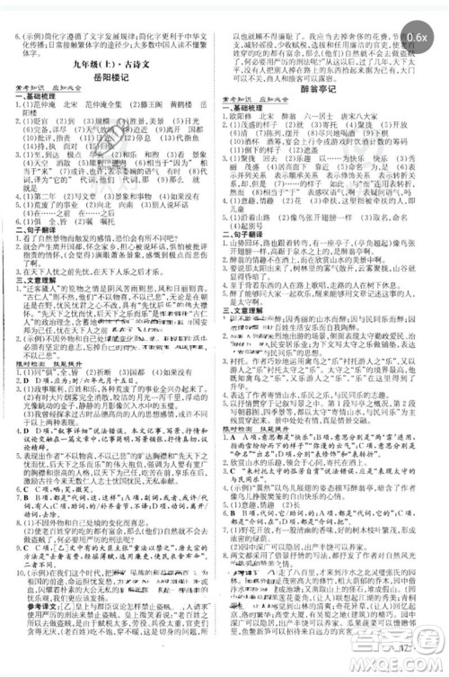 陕西人民教育出版社2023中考总复习导与练九年级语文人教版参考答案