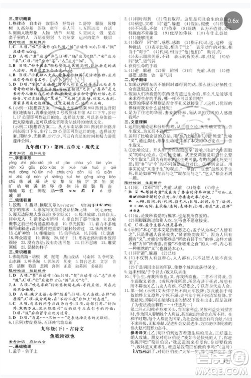 陕西人民教育出版社2023中考总复习导与练九年级语文人教版参考答案