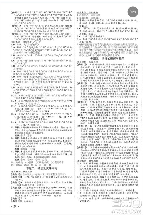 陕西人民教育出版社2023中考总复习导与练九年级语文人教版参考答案