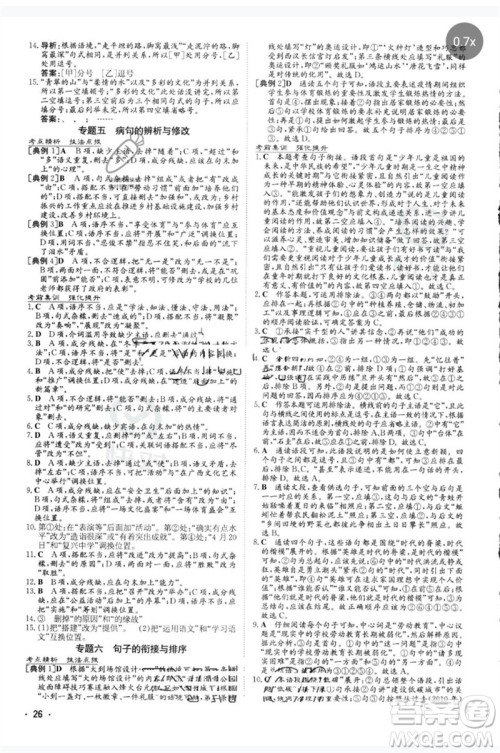 陕西人民教育出版社2023中考总复习导与练九年级语文人教版参考答案