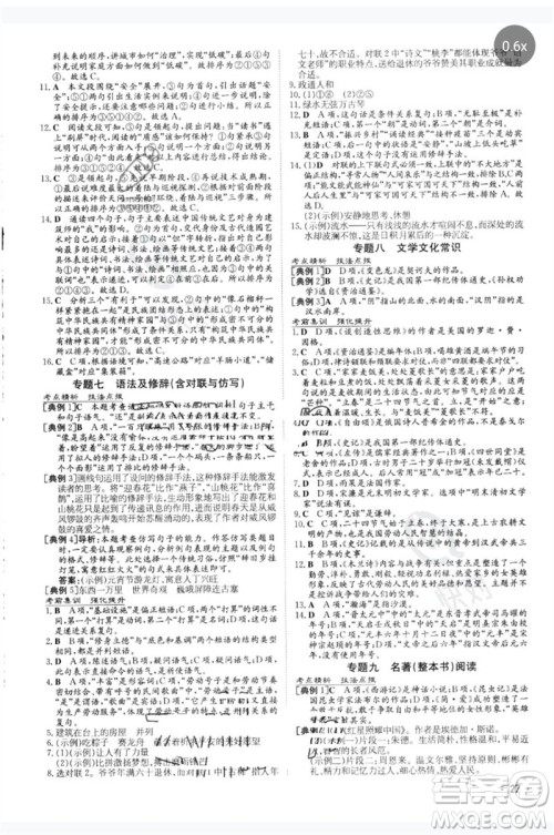 陕西人民教育出版社2023中考总复习导与练九年级语文人教版参考答案