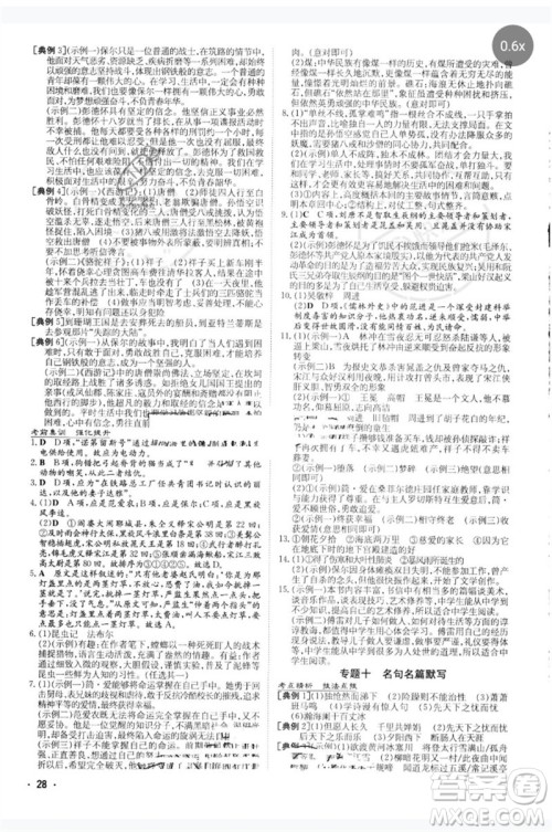 陕西人民教育出版社2023中考总复习导与练九年级语文人教版参考答案