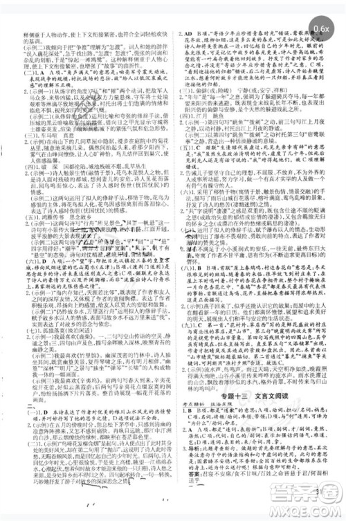 陕西人民教育出版社2023中考总复习导与练九年级语文人教版参考答案