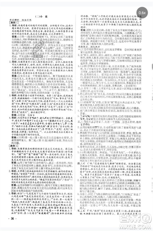 陕西人民教育出版社2023中考总复习导与练九年级语文人教版参考答案