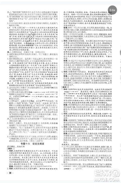 陕西人民教育出版社2023中考总复习导与练九年级语文人教版参考答案
