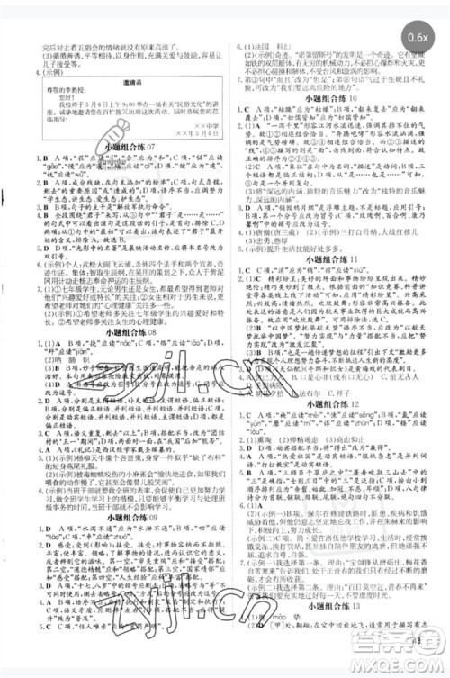 陕西人民教育出版社2023中考总复习导与练九年级语文人教版参考答案