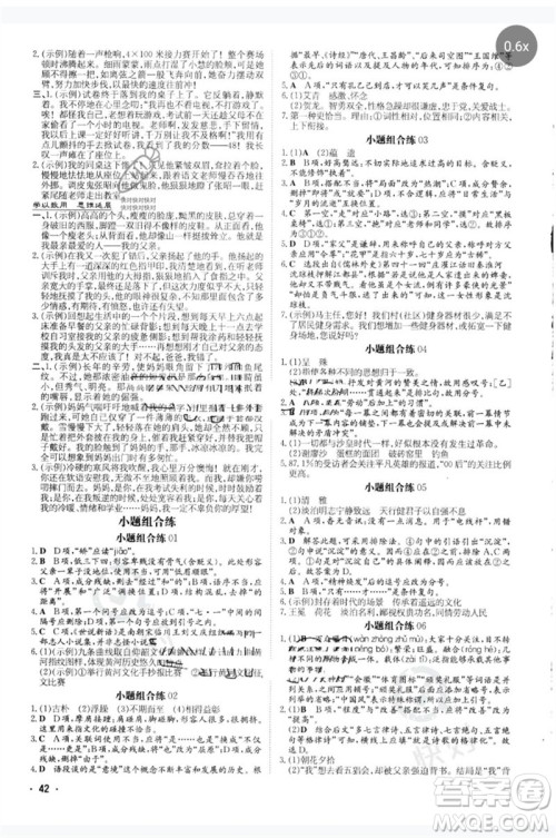 陕西人民教育出版社2023中考总复习导与练九年级语文人教版参考答案