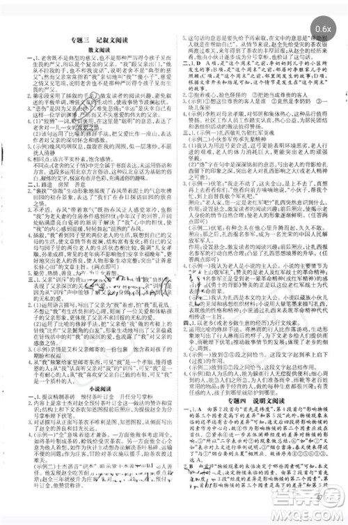 陕西人民教育出版社2023中考总复习导与练九年级语文人教版参考答案