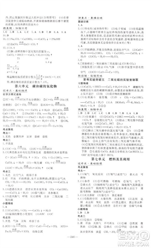 陕西人民教育出版社2023中考总复习导与练九年级化学精讲册人教版参考答案