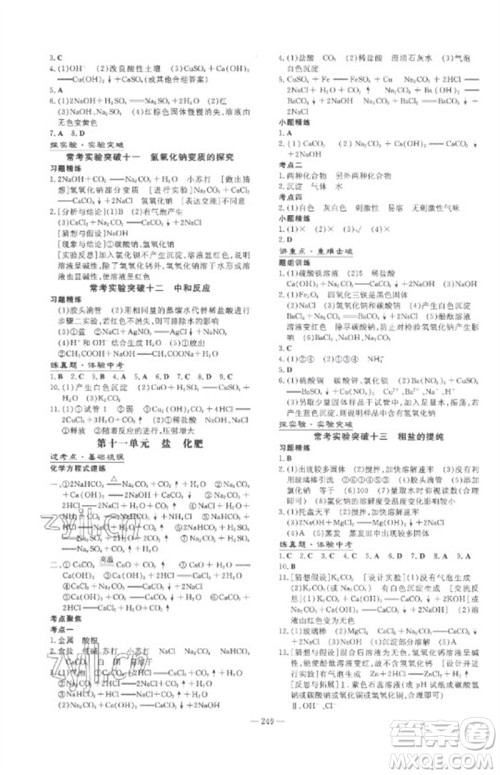 陕西人民教育出版社2023中考总复习导与练九年级化学精讲册人教版参考答案