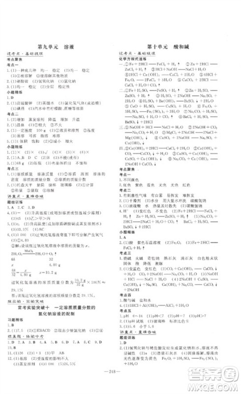 陕西人民教育出版社2023中考总复习导与练九年级化学精讲册人教版参考答案