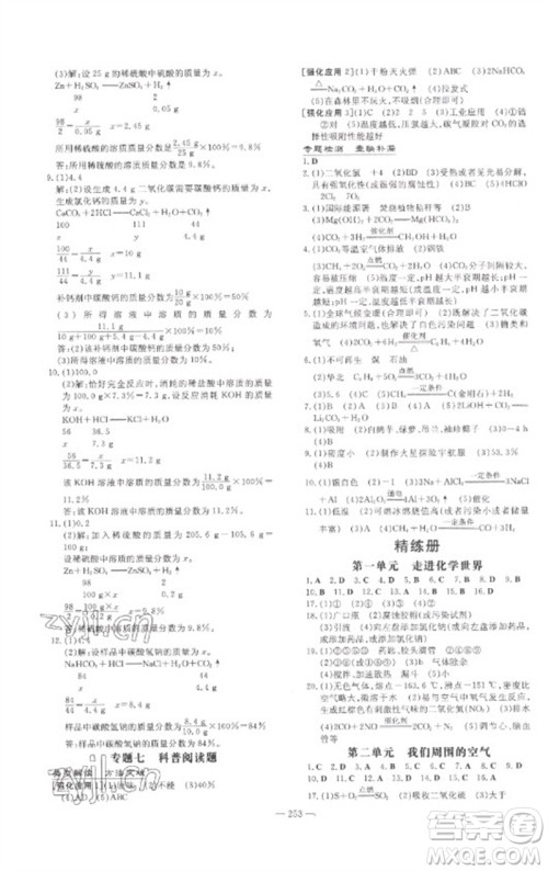 陕西人民教育出版社2023中考总复习导与练九年级化学精讲册人教版参考答案