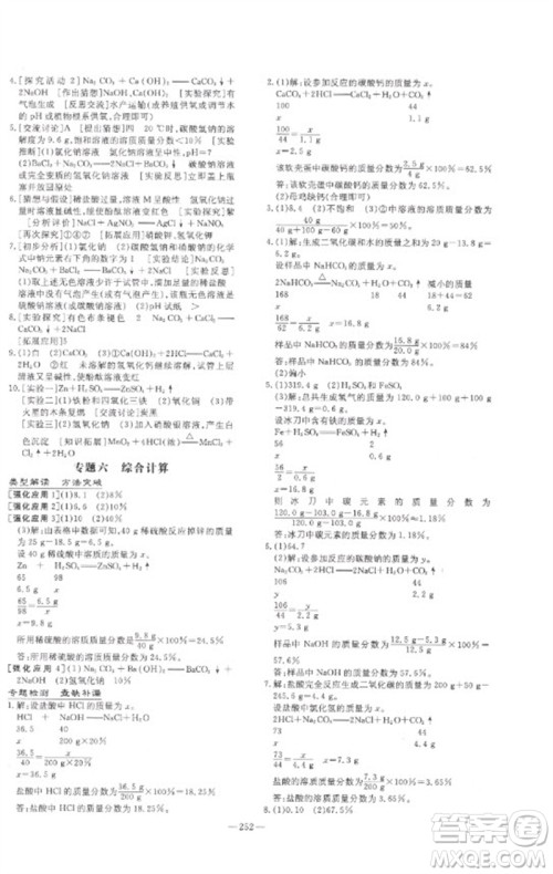 陕西人民教育出版社2023中考总复习导与练九年级化学精讲册人教版参考答案