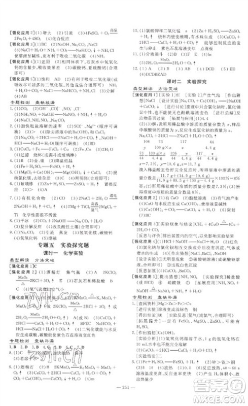 陕西人民教育出版社2023中考总复习导与练九年级化学精讲册人教版参考答案