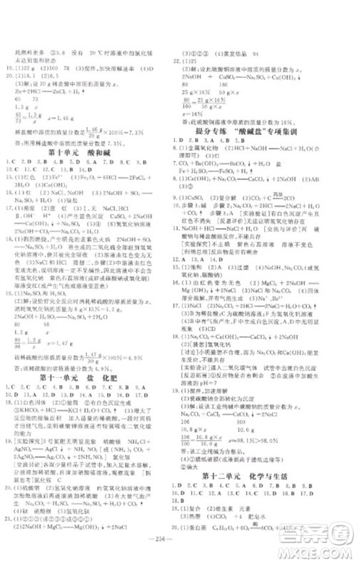 陕西人民教育出版社2023中考总复习导与练九年级化学精讲册人教版参考答案