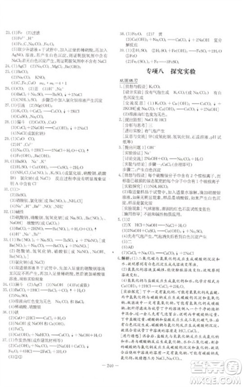 陕西人民教育出版社2023初中总复习导与练九年级化学通用版包头专版参考答案