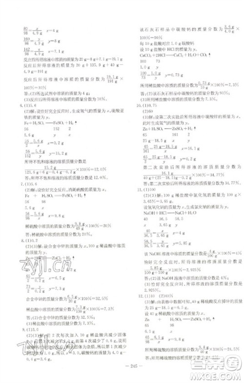 陕西人民教育出版社2023初中总复习导与练九年级化学通用版包头专版参考答案