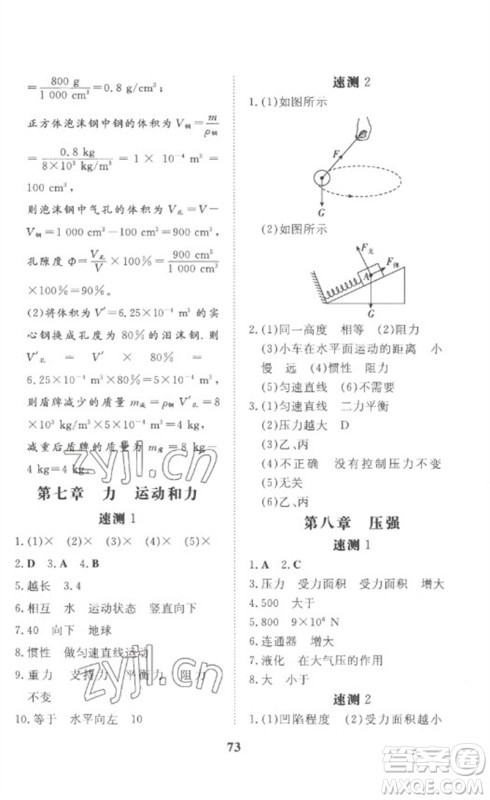 陕西人民教育出版社2023中考总复习导与练九年级物理精讲册人教版参考答案