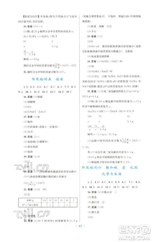 人民教育出版社2023初中总复习优化设计九年级化学人教版参考答案