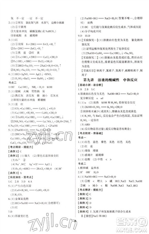 山东科学技术出版社2023初中总复习手册九年级化学通用版参考答案