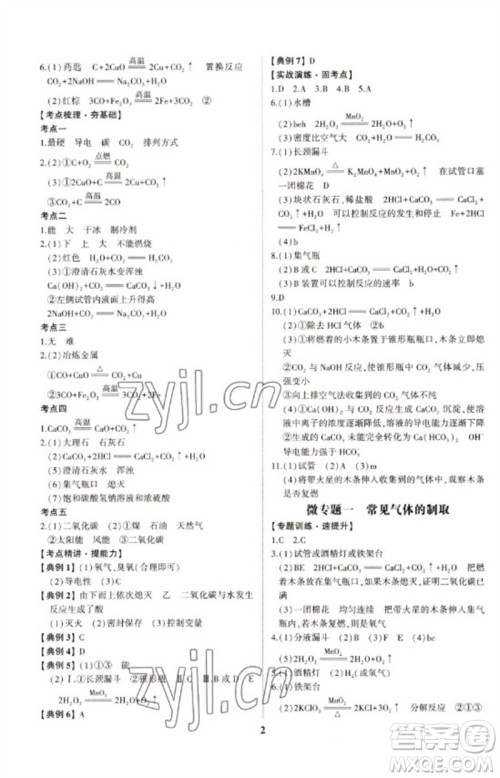 山东科学技术出版社2023初中总复习手册九年级化学通用版参考答案