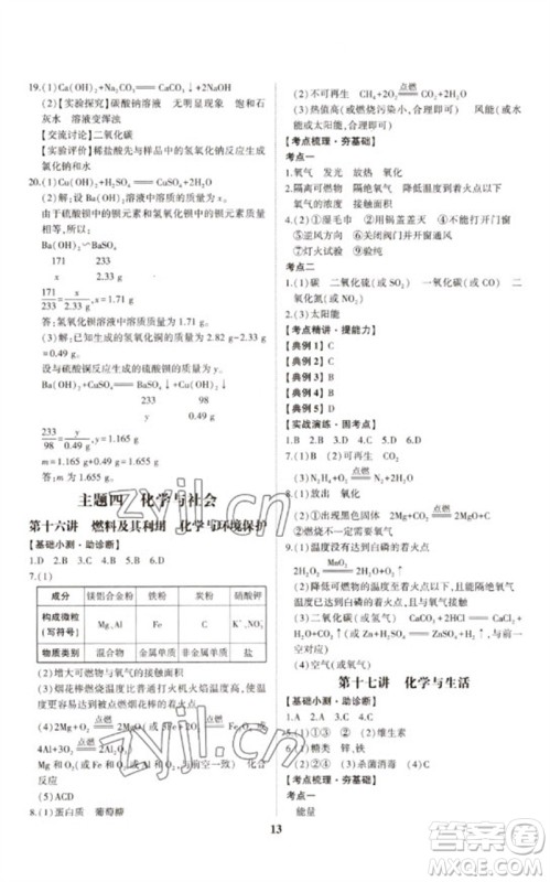 山东科学技术出版社2023初中总复习手册九年级化学通用版参考答案