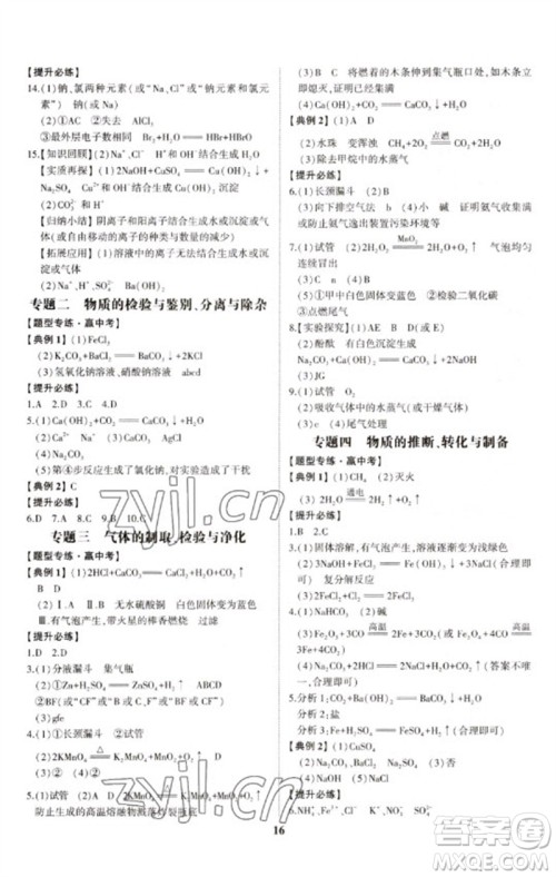 山东科学技术出版社2023初中总复习手册九年级化学通用版参考答案