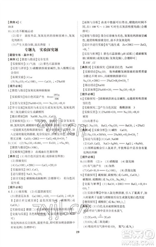 山东科学技术出版社2023初中总复习手册九年级化学通用版参考答案