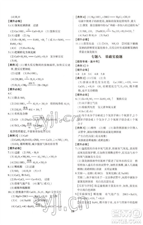 山东科学技术出版社2023初中总复习手册九年级化学通用版参考答案