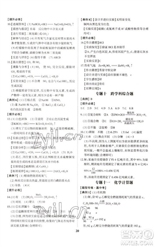 山东科学技术出版社2023初中总复习手册九年级化学通用版参考答案