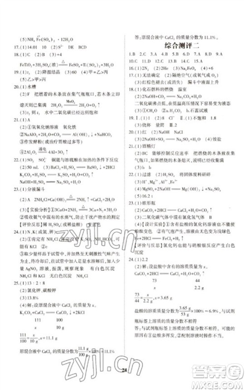 山东科学技术出版社2023初中总复习手册九年级化学通用版参考答案