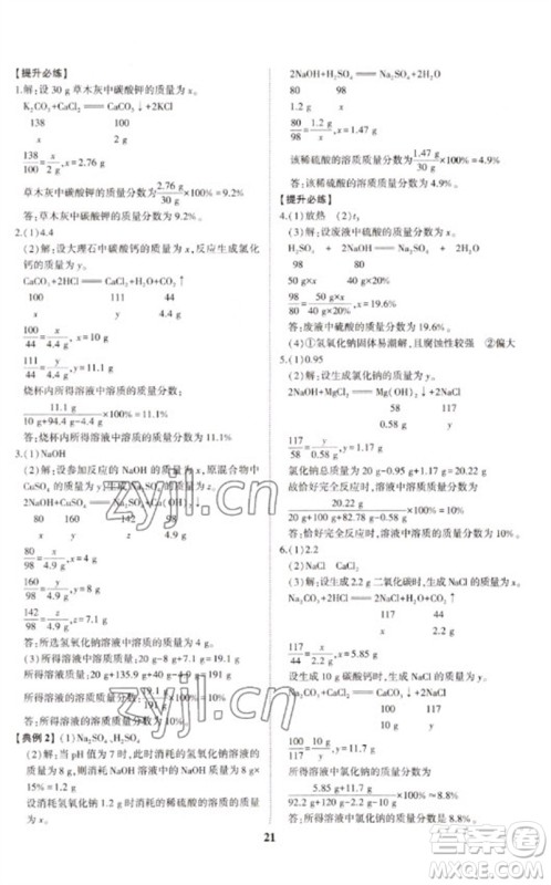 山东科学技术出版社2023初中总复习手册九年级化学通用版参考答案