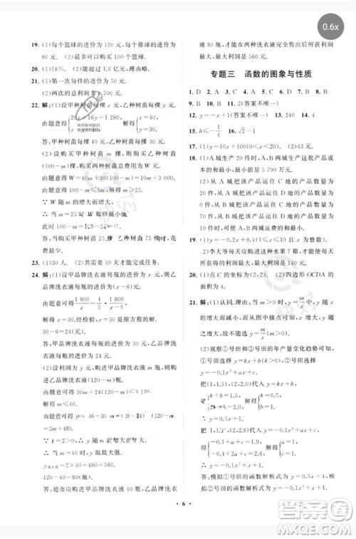 山东教育出版社2023初中总复习手册分层专题卷九年级数学五四制通用版烟台专版参考答案