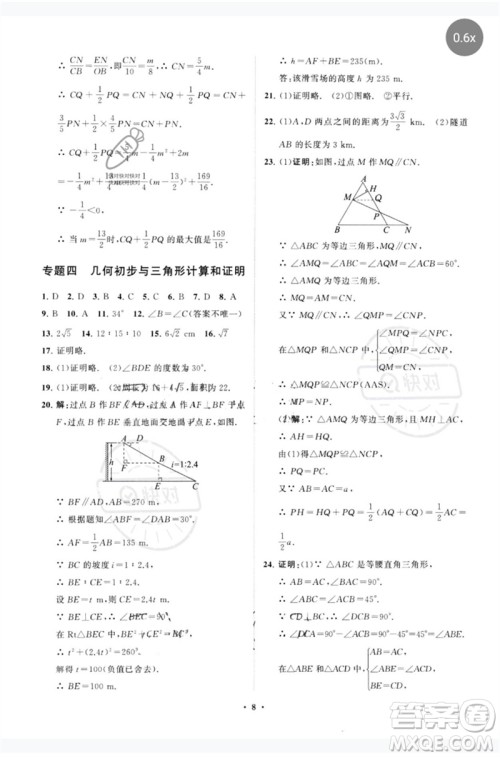 山东教育出版社2023初中总复习手册分层专题卷九年级数学五四制通用版烟台专版参考答案