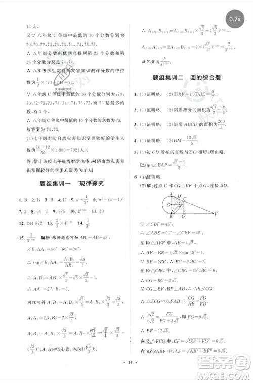 山东教育出版社2023初中总复习手册分层专题卷九年级数学五四制通用版烟台专版参考答案