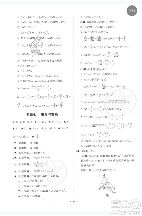 山东教育出版社2023初中总复习手册分层专题卷九年级数学五四制通用版烟台专版参考答案