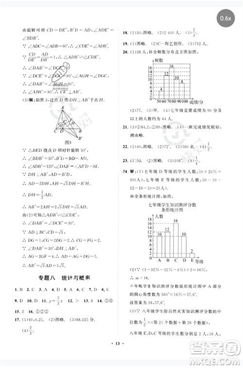 山东教育出版社2023初中总复习手册分层专题卷九年级数学五四制通用版烟台专版参考答案