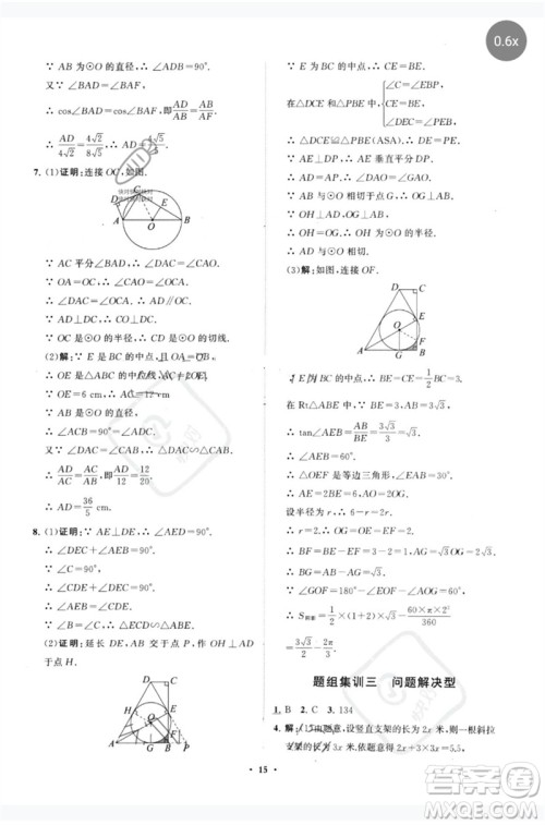 山东教育出版社2023初中总复习手册分层专题卷九年级数学五四制通用版烟台专版参考答案