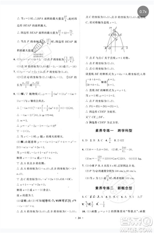 山东教育出版社2023初中总复习手册分层专题卷九年级数学五四制通用版烟台专版参考答案